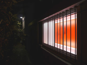 Vitrine d’hiver   Michel Leonardi